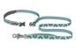 Preview: Ruffwear Crag Leash Grassy Oxbow Preview: Ruffwear Crag Leash Grassy Oxbow